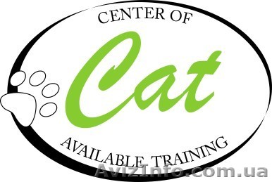 Английский, Чешский, Сербский, Хинди - <ro>Изображение</ro><ru>Изображение</ru> #1, <ru>Объявление</ru> #339928