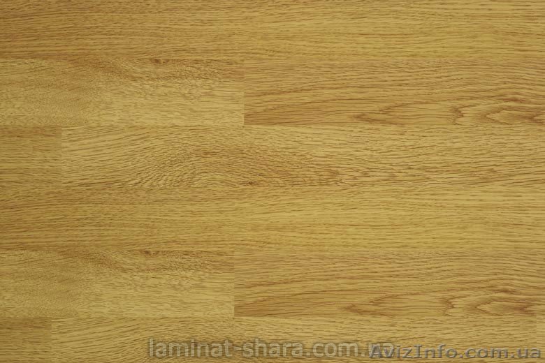 Ламинат BALTERIO  31-33 класс - <ro>Изображение</ro><ru>Изображение</ru> #1, <ru>Объявление</ru> #394634