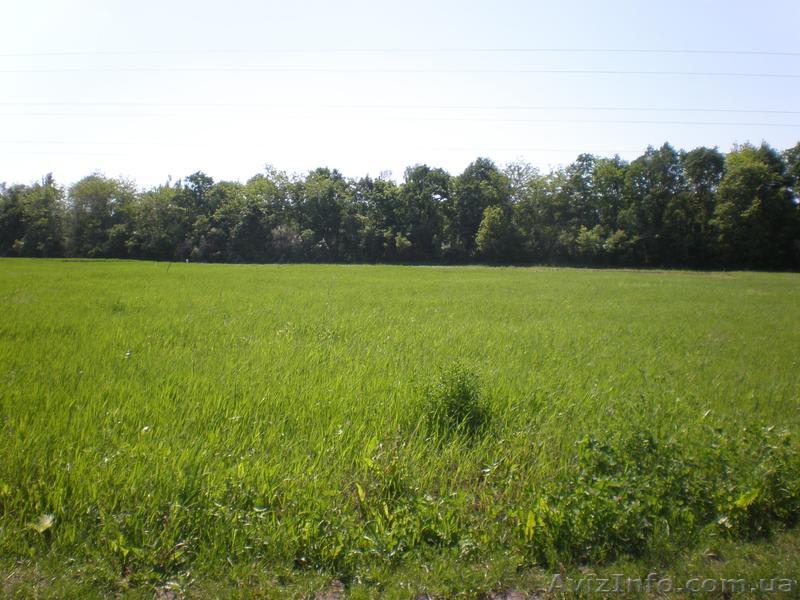 продам класный зем участок - <ro>Изображение</ro><ru>Изображение</ru> #1, <ru>Объявление</ru> #395570