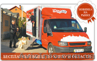 Мобильный салон красоты для животных Зоохоливуд - <ro>Изображение</ro><ru>Изображение</ru> #1, <ru>Объявление</ru> #422168