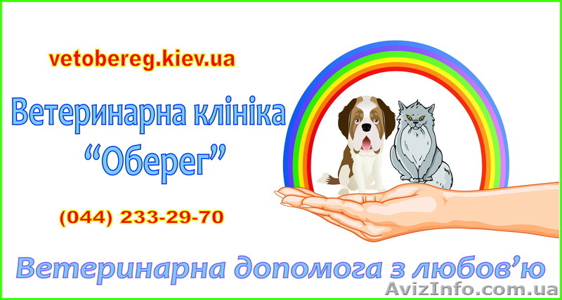 Ветеринарная клиника Оберег - <ro>Изображение</ro><ru>Изображение</ru> #1, <ru>Объявление</ru> #422341