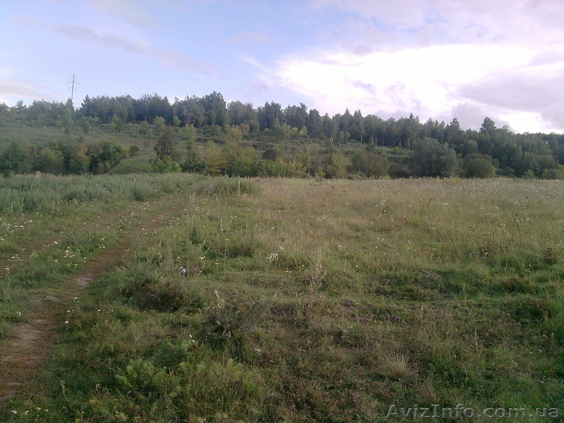 Продажа участка 24 сотки в Обуховском районе - <ro>Изображение</ro><ru>Изображение</ru> #1, <ru>Объявление</ru> #451001