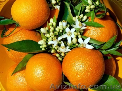  массаж на дому антицеллюлитный - <ro>Изображение</ro><ru>Изображение</ru> #1, <ru>Объявление</ru> #455907