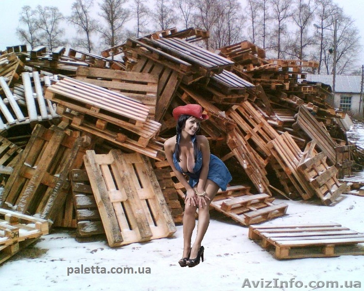 куплю  поддоны БУ, ломаные   - <ro>Изображение</ro><ru>Изображение</ru> #1, <ru>Объявление</ru> #457740