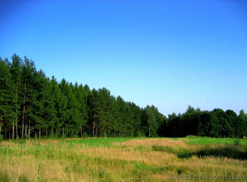 Участок земли под застройку - <ro>Изображение</ro><ru>Изображение</ru> #1, <ru>Объявление</ru> #467802