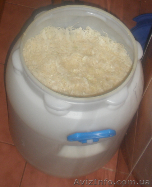 продам капусту квашенную - <ro>Изображение</ro><ru>Изображение</ru> #1, <ru>Объявление</ru> #499972