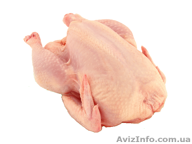 Курица суповая, цыпленок-бройлер. - <ro>Изображение</ro><ru>Изображение</ru> #1, <ru>Объявление</ru> #538007