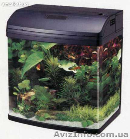 Аквариум JEBO R338 темно-серый 35 л - <ro>Изображение</ro><ru>Изображение</ru> #1, <ru>Объявление</ru> #524802