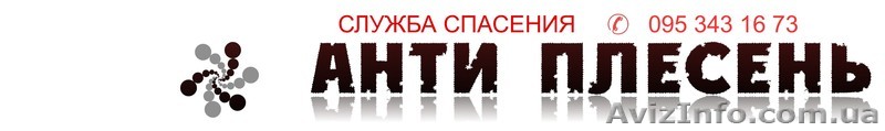 Удаление плесени и грибка - <ro>Изображение</ro><ru>Изображение</ru> #1, <ru>Объявление</ru> #551672