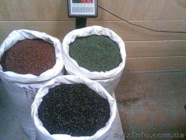 Продам вторичный ПП и ПНД - <ro>Изображение</ro><ru>Изображение</ru> #1, <ru>Объявление</ru> #545318