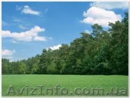 Земля в Киево-Святошинском р-оне - <ro>Изображение</ro><ru>Изображение</ru> #1, <ru>Объявление</ru> #543785