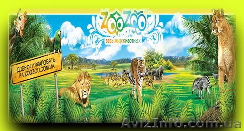 Лебеди, Павлины, Фазаны, Утки, Казарки, Журавли продам  - <ro>Изображение</ro><ru>Изображение</ru> #1, <ru>Объявление</ru> #557585