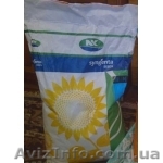 Семена подсолнечника Сингента Clearfield - <ro>Изображение</ro><ru>Изображение</ru> #1, <ru>Объявление</ru> #573274