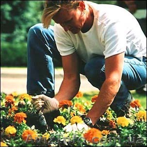 Сниму дом в Киевской области - <ro>Изображение</ro><ru>Изображение</ru> #1, <ru>Объявление</ru> #584907