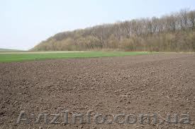 Продам земельный пай , участок под Киевом . - <ro>Изображение</ro><ru>Изображение</ru> #1, <ru>Объявление</ru> #571936