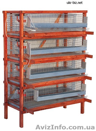 Клетка перепелиная и аксессуары. Продажа. - <ro>Изображение</ro><ru>Изображение</ru> #1, <ru>Объявление</ru> #566793