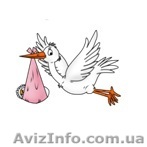 Курсы для беременных - акция к 8 марта - <ro>Изображение</ro><ru>Изображение</ru> #1, <ru>Объявление</ru> #562587