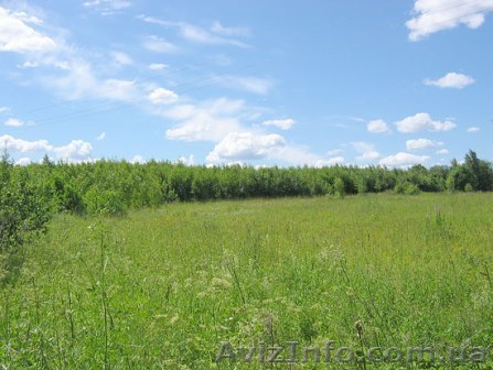 Дом, участок 35 сот, 65 км от Киева - <ro>Изображение</ro><ru>Изображение</ru> #1, <ru>Объявление</ru> #564585