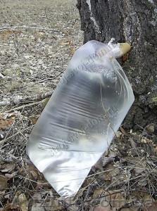 Доставлю, продам БЕРЕЗОВЫЙ СОК(Киев и Киевская обл.)) - <ro>Изображение</ro><ru>Изображение</ru> #1, <ru>Объявление</ru> #586913