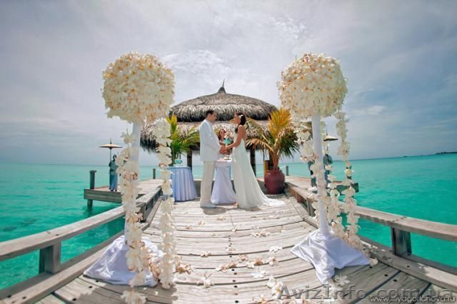 Профессиональные видеоуслуги. - <ro>Изображение</ro><ru>Изображение</ru> #1, <ru>Объявление</ru> #587504