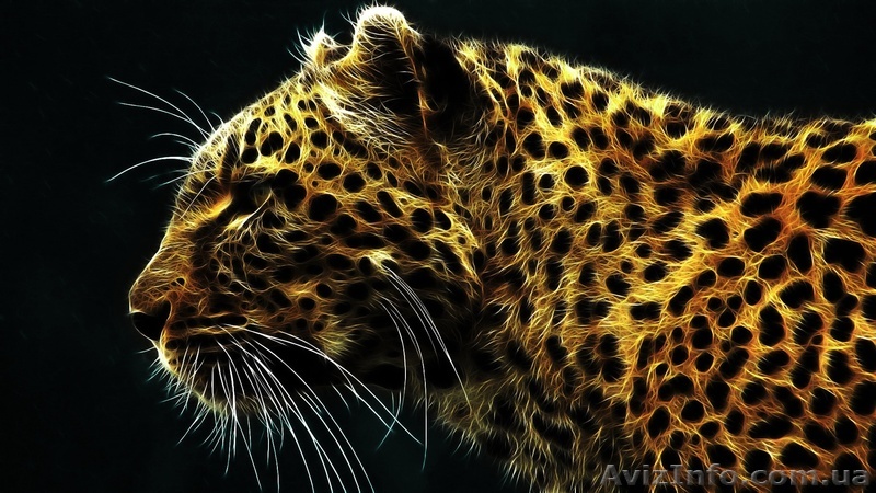 Большой спектр полиграфических услуг Киев - <ro>Изображение</ro><ru>Изображение</ru> #1, <ru>Объявление</ru> #607886