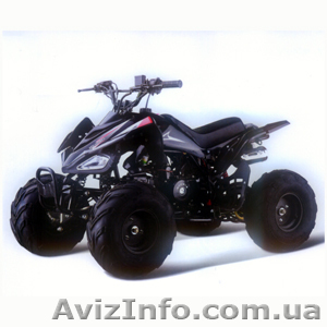 Продам квадроцикл Pony 110 новый - <ro>Изображение</ro><ru>Изображение</ru> #1, <ru>Объявление</ru> #569648