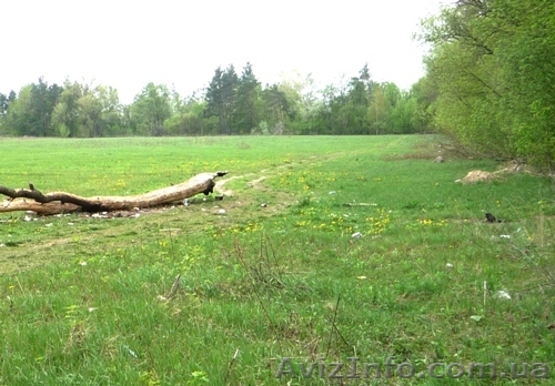 Земельный участок под Киевом - <ro>Изображение</ro><ru>Изображение</ru> #1, <ru>Объявление</ru> #647740