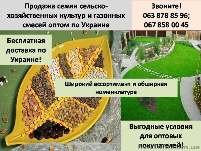 Продажа семян и газонных смесей оптом по Украине с доставкой! - <ro>Изображение</ro><ru>Изображение</ru> #1, <ru>Объявление</ru> #663704