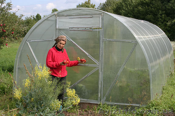 ПОЛЬША - женщины для работы в теплицах - <ro>Изображение</ro><ru>Изображение</ru> #1, <ru>Объявление</ru> #654337