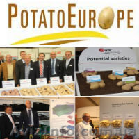 УАВК розповість вам о картоплі - <ro>Изображение</ro><ru>Изображение</ru> #1, <ru>Объявление</ru> #700853