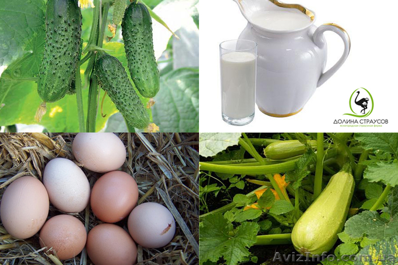 Фермерские натуральные продукты - <ro>Изображение</ro><ru>Изображение</ru> #1, <ru>Объявление</ru> #700765