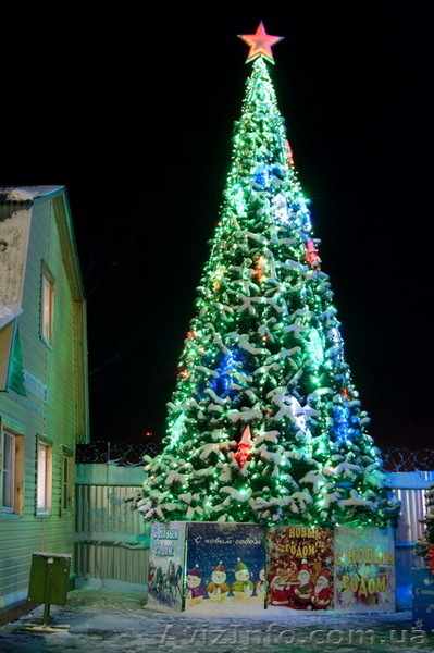 Большие искусственные елки - <ro>Изображение</ro><ru>Изображение</ru> #1, <ru>Объявление</ru> #718595