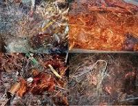 Куплю Лом Меди Киев Дорого 098 427 03 93! Дорого куплю Медь. Киев. 093 733 88 05 - <ro>Изображение</ro><ru>Изображение</ru> #1, <ru>Объявление</ru> #702266