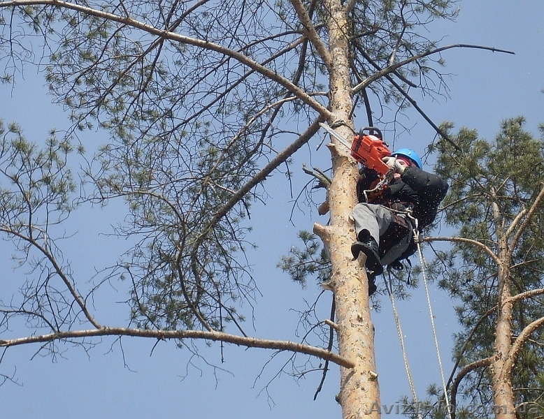 Демонтажные работы . Разборка домов, Снос строений - <ro>Изображение</ro><ru>Изображение</ru> #1, <ru>Объявление</ru> #716036