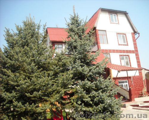 Продается дом Киевская область в Хотове, купить дом под Киевом недорого - <ro>Изображение</ro><ru>Изображение</ru> #1, <ru>Объявление</ru> #742498