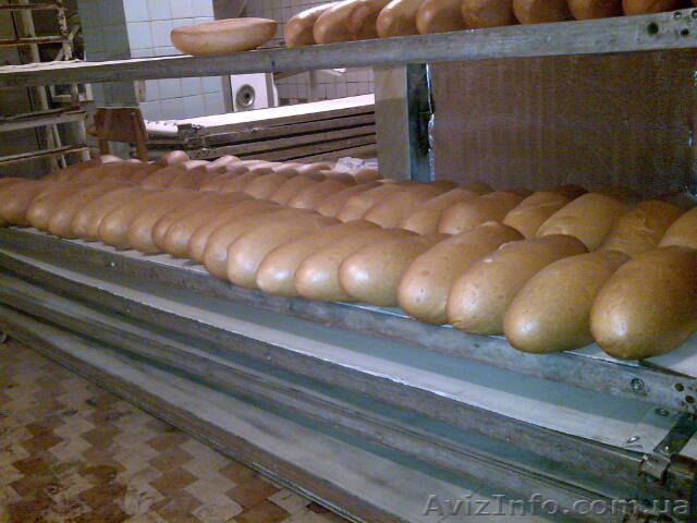Пекарня, хлебапекарня, буханки - <ro>Изображение</ro><ru>Изображение</ru> #1, <ru>Объявление</ru> #744623