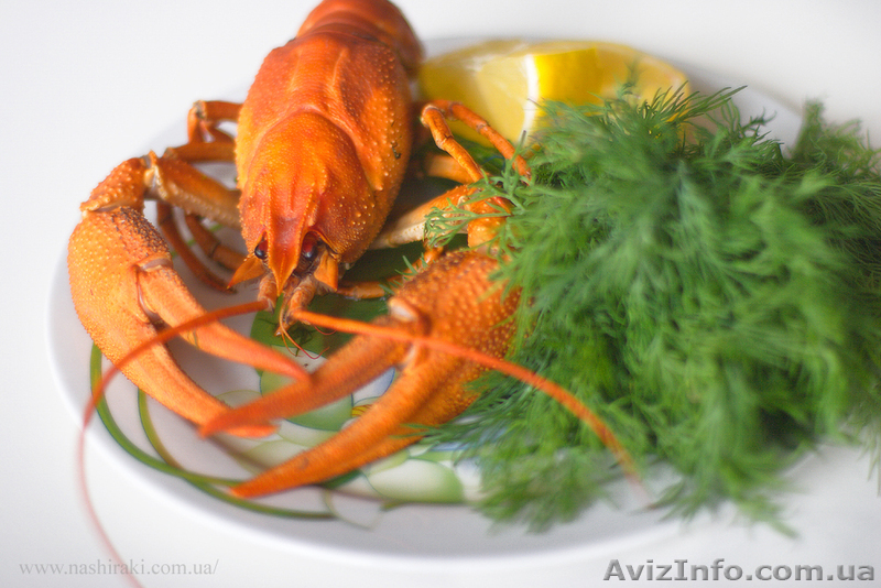 Жак Ив Кусто Доставка эксклюзивных морепродуктов Раки  - <ro>Изображение</ro><ru>Изображение</ru> #1, <ru>Объявление</ru> #745378