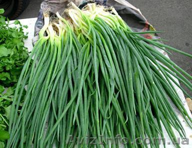 Срочно продается  работающий бизнес - <ro>Изображение</ro><ru>Изображение</ru> #1, <ru>Объявление</ru> #738996