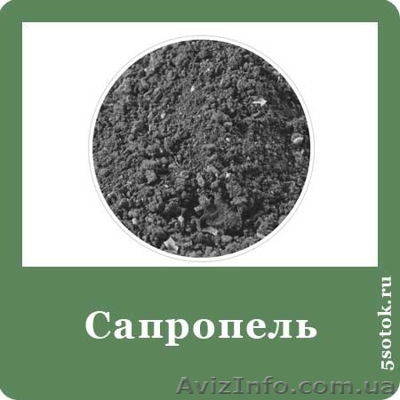 Маркетинговое исследование мирового и украинского рынка удобрений - <ro>Изображение</ro><ru>Изображение</ru> #1, <ru>Объявление</ru> #781134