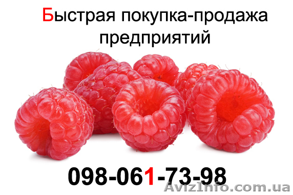 Продажа готовых ООО - <ro>Изображение</ro><ru>Изображение</ru> #1, <ru>Объявление</ru> #789237