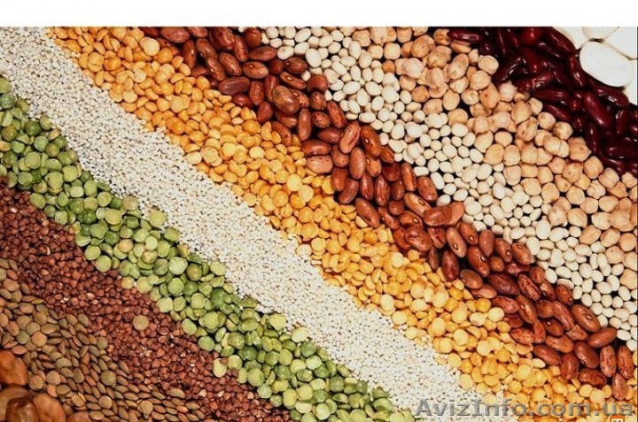 Срочно продам Крупу. - <ro>Изображение</ro><ru>Изображение</ru> #1, <ru>Объявление</ru> #795916