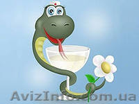 Гинекологический кабинет, аборт, вакуум, мини аборт - <ro>Изображение</ro><ru>Изображение</ru> #1, <ru>Объявление</ru> #801408