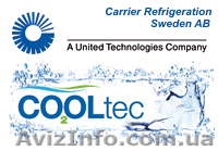 Требуется инженер-холодильщик - <ro>Изображение</ro><ru>Изображение</ru> #1, <ru>Объявление</ru> #808589