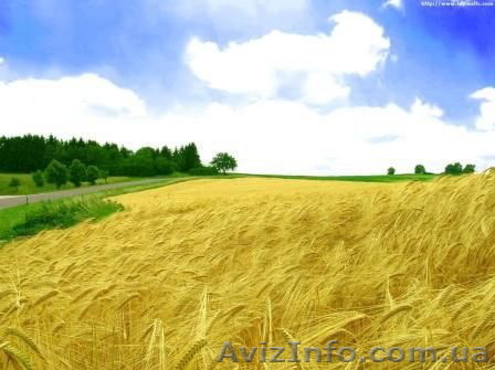 Оформление земли и недвижимости - <ro>Изображение</ro><ru>Изображение</ru> #1, <ru>Объявление</ru> #827606