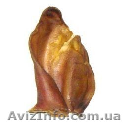 Сушености. Прямые оптовые поставки из Польши  - <ro>Изображение</ro><ru>Изображение</ru> #1, <ru>Объявление</ru> #831757