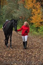 Подарочные сертификаты на уроки верховой езды - <ro>Изображение</ro><ru>Изображение</ru> #1, <ru>Объявление</ru> #828730