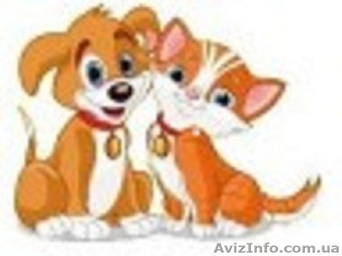 Ветеринарная помощь надому - <ro>Изображение</ro><ru>Изображение</ru> #1, <ru>Объявление</ru> #820940