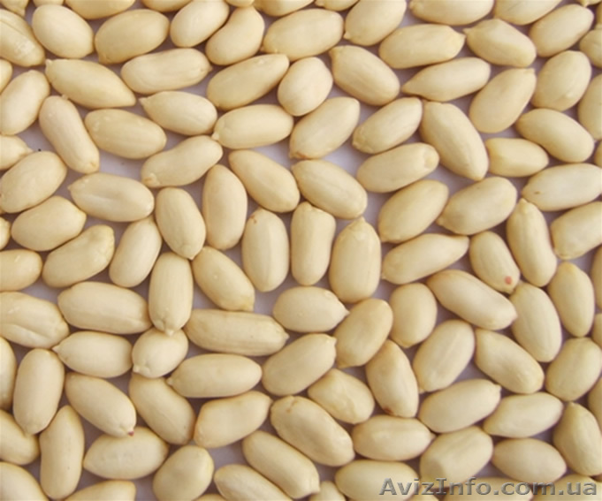 бланшированный арахис , калибр  35/39 - <ro>Изображение</ro><ru>Изображение</ru> #1, <ru>Объявление</ru> #834364