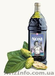 Нони в Украине, моринда, сок нони - <ro>Изображение</ro><ru>Изображение</ru> #1, <ru>Объявление</ru> #835475