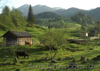 Водные туры, 2013 - <ro>Изображение</ro><ru>Изображение</ru> #1, <ru>Объявление</ru> #860103